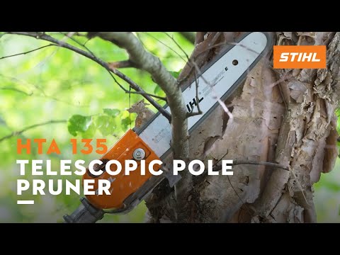 Stihl HTA 135 in Thief River Falls, Minnesota - Video 1