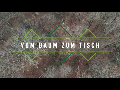 Vom Baum zum Tisch | Holz aus dem Staatswald ins Esszimmer