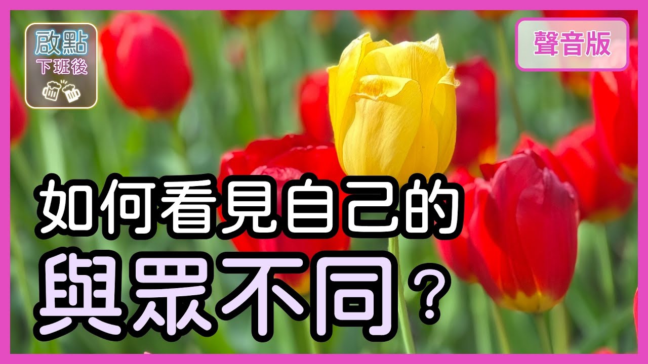 你覺得自己「不夠特別」嗎？如何看見自己的「獨特性」？｜【啟點下班後#14】