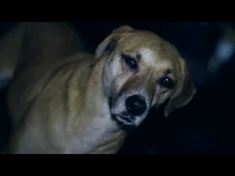 RADIKAL STYLES- RESPECT THE DANCEFLOOR 2016