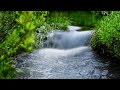 Relaxing Stream For Sleep Studying Or Stress Relief Soothing Water Sounds White Noise
