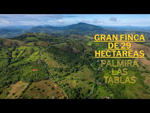 29 Ha Farm for Sale in Palmira Las Tablas Los Santos Panama SSS3097