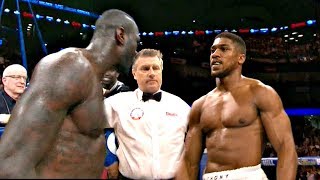 Top 25 Hardest Punchers In Boxing | 2017
