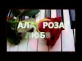 Стих Алая роза Любви 