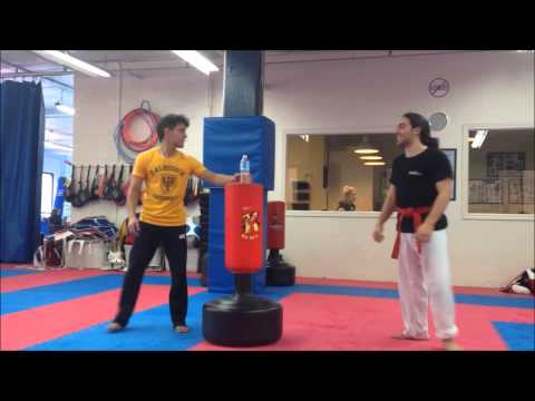Taekwondo precision kicks - Anthony Homsi