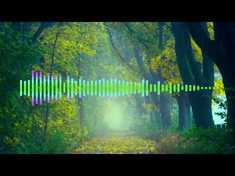 Top 5 Most Popular Songs of Fredji | Most Viewed Songs | No Copyright Music Collection 2020