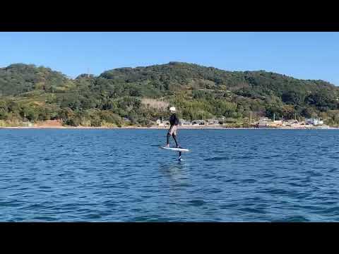 Don't just ride the wave, track it with WaveShark!