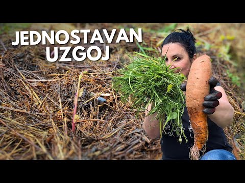 BATATE auf RASEN pflanzen - Die einfachste Methode