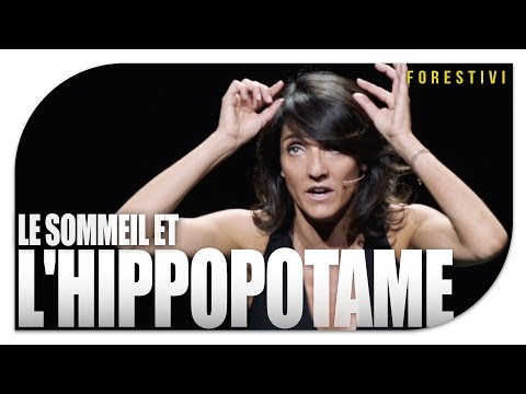 LE SOMMEIL ET L'HIPPOPOTAME
