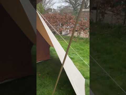 De Waard Vergrote Zilvermeeuw - 030421