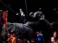 Circus Finale