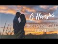 O Hansini Zehreela Insaan Instrumental Cover