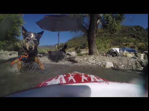 Streamline rc thrasher v3 gets attacked by Sodog