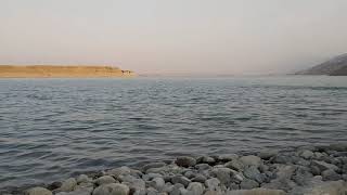 Survivors (Acoustic) - Passenger