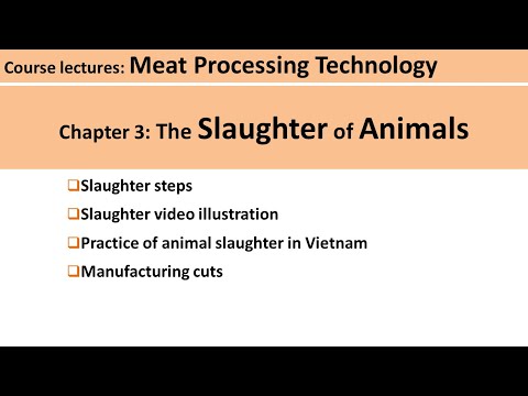 C3-01 introduction to slaughter of animals| Meat Technology