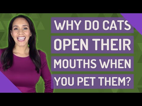 Why do cats open their mouths when you pet them?