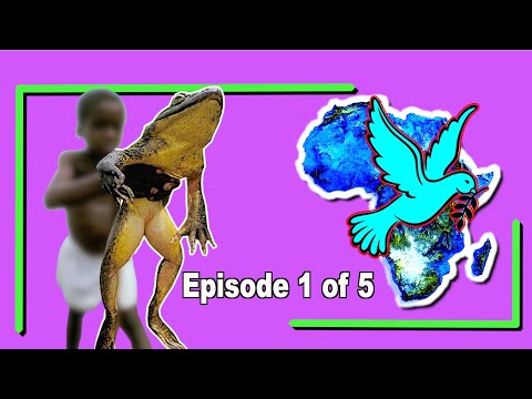 In Search of Amphibian Giants: The African Bullfrog Expedition. Episode 1. #animals #awesomeanimals