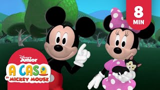 Celebrando os animais de estimação | A casa do Mickey