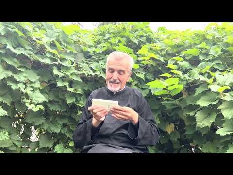 Katolička crkva i pravoslavlje u Dalmaciji u vrijeme Mletačke republike