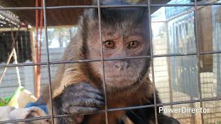 Info .... research .... info