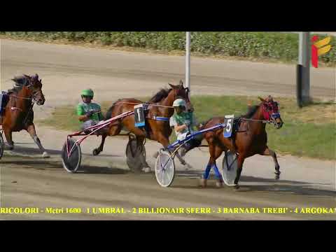 IV Corsa del 4 Giugno 2022 - 5 Anni ed oltre - Metri 1600