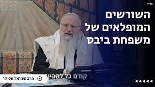השורשים המופלאים של משפחת ביבס | הרב שמואל אליהו | הלכה יומית | כ״ב שבט תשפ״ה (הרב שמואל אליהו) - התמונה מוצגת ישירות מתוך אתר האינטרנט יוטיוב. זכויות היוצרים בתמונה שייכות ליוצרה. קישור קרדיט למקור התוכן נמצא בתוך דף הסרטון