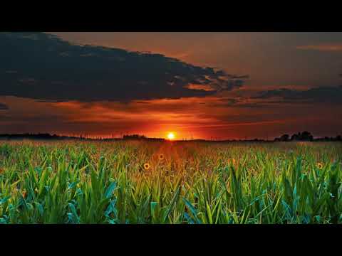 James Kitcher and Adam Taylor and Jan Johnston - Perfect Picture (Extended Mix)