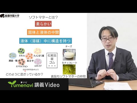 先端経営学科 【ミニ講義】物理から食品の美味しさを考える “分子物理美食学”