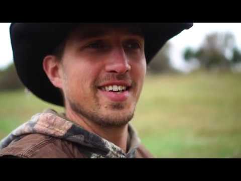 Fixing aggressive pigs with magnesium