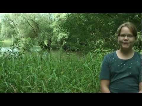 Wir erklären euch Life - Die Silberweide