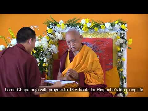 20190613 1700 LZR IVY FRANCE - Lama Chopa Part 2. Merry Colony Praise to LZR. LZR thanks IVY