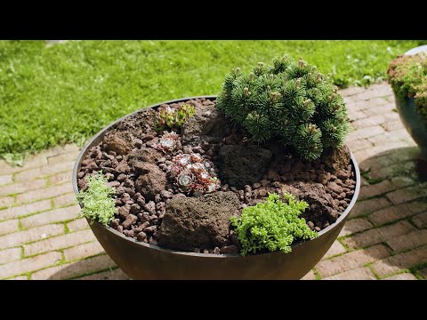 Osazení dekorativní nádoby