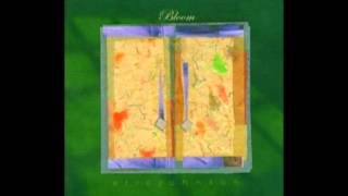 Eric Johnson - Sea Secret