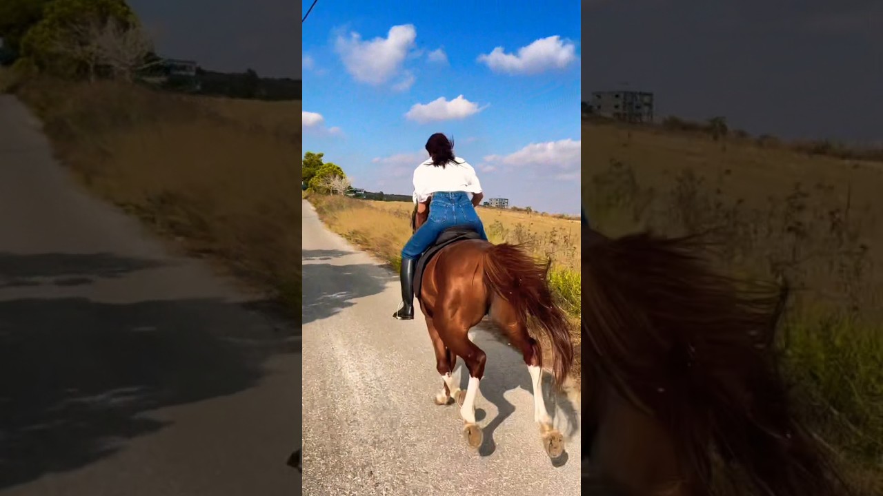 🏇 Girl & Horse Full Speed Ride | Powerful Bond in Motion ⚡