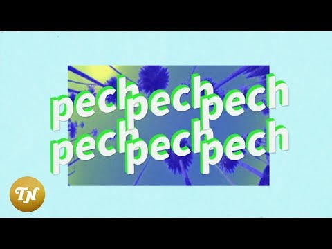 SLM - Pech (lyric video)