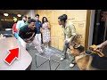 IShowSpeed Has A Bark Off With A Dog