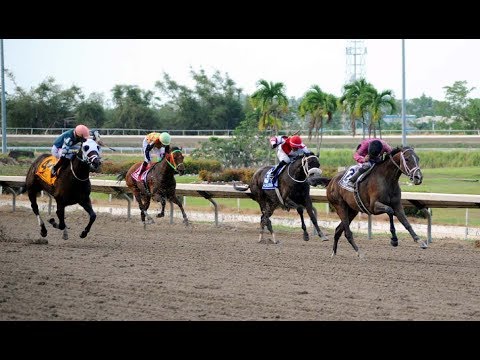 MISHEGAS - Clásico Bold Forbes 2018