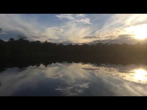 Waking up in the Amazon