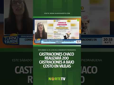 🐾 Jornada solidaria en Puerto Vilelas: Castraciones Chaco realizará 200 castraciones a bajo costo ❤️