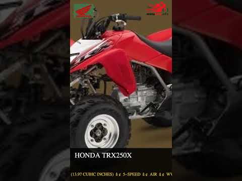 Honda TRX250X - Video 2