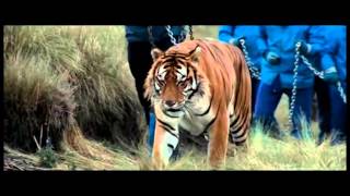 HASARD MECANIQUE   01 Prime