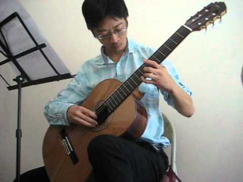 Matteo Carcassi p op 59 No 33