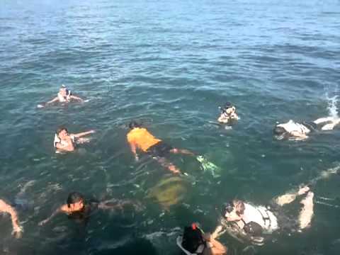 SWEEMMING TRIP/KHAINAI ISLAND/THAILAND.