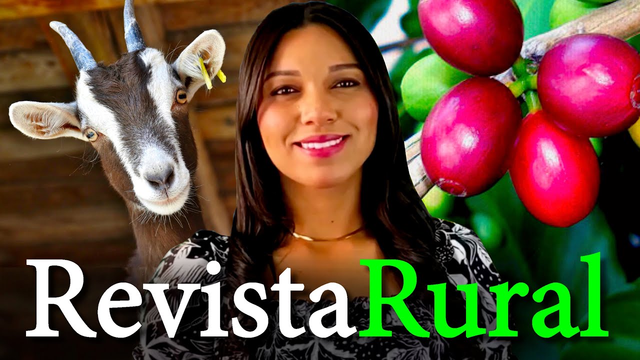 PROGRAMA REVISTA RURAL - 17/11/2024