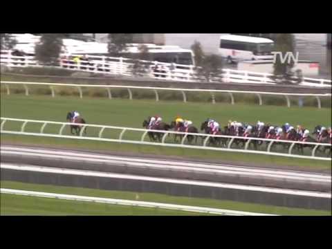 2010 Melbourne Cup - Americain