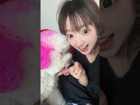 把一根手指放在狗狗面前 看它什么反应 # 我和我的恶犬