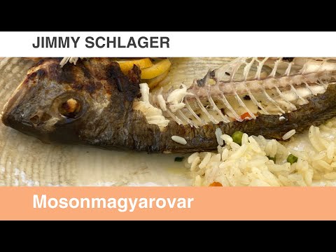 Jimmy Schlager - Mosonmagyarovar
