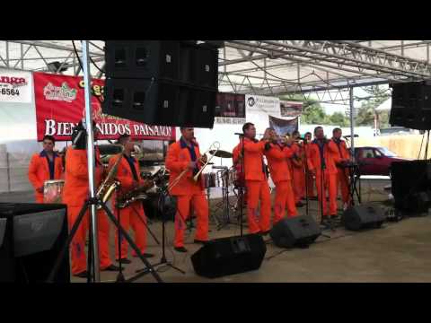 Banda realengo de colima