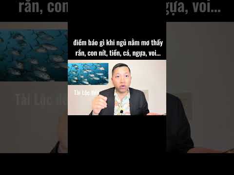 điềm báo từ những giấc mơ