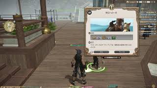 【FF14/暁月の終焉】#56 【6.？】約一年ぶり！の続きのメイン